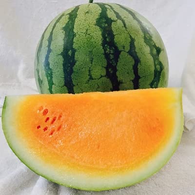 Melon Lover's Garden Seed Combination, Includes Seed Of 3 Different Types Of Melon Varieties #TOP1