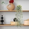 Der Rose 1Pcs Fake Plants Hanging Artificial Potted Faux Eucalyptus Plants for Modern Boho Farmhouse Bathroom Office Desk Wall Art Shelf Living Room Aesthetic Decor Indoor #5