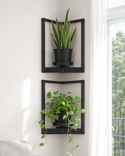 Bamworld Picture Frame Wall Planters Set of 2 Corner Wall Plant Holder