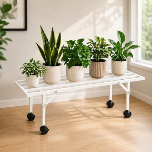 Image of ecofynd Scot 35 Inch Plant Stand with Wheels for Outdoor Balcony, Flower Pot Stand for Indoor Plants, Large Metal Planter Stand for Living Room, home decor, Indoor & Outdoor plants, 1 Tier (PS051-WHT)