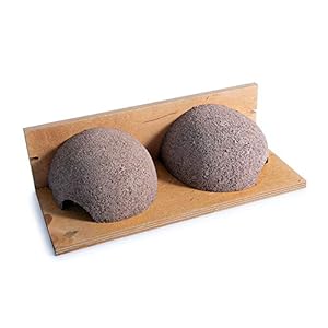 Vivara Mehlschwalbe Nisthilfe Doppelt Holzbeton