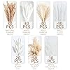 220PCS Natural Dried Pampas Grass Boho Home Decor Bouquet Phragmites Dried Flowers Bouquet for Wedding Floral Arrangements Home Decorations (220PCS) #2