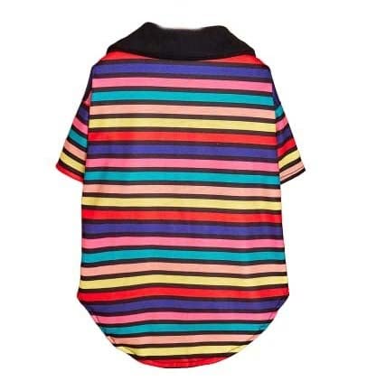 KUTKUT Small Dog & Cat Rainbow Shirt - Pet Summer T-Shirts Breathable Dog Clothes for Small Dogs Cats Pets, Striped Pattern Polo Dog Shirt for ShihTzu, Bichon, Pekingese etc (Size: L, Chest: 45cm) (B0BHWZCVSM) Amazon Price History, Amazon Price Tracker