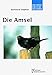 Produktbild Die Amsel: Turdus merula