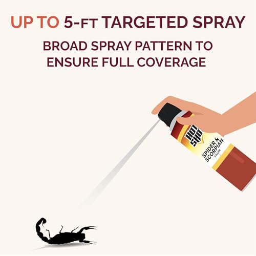 Image of Hot Shot Spider & Scorpion Killer (Aerosol), Kills Large Spiders and Scorpions in Seconds, Including Black Widow, Brown Recluse and Wolf Spiders, 16 Ounces