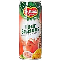Del Monte Four Seasons Fruit Drink, 240ml