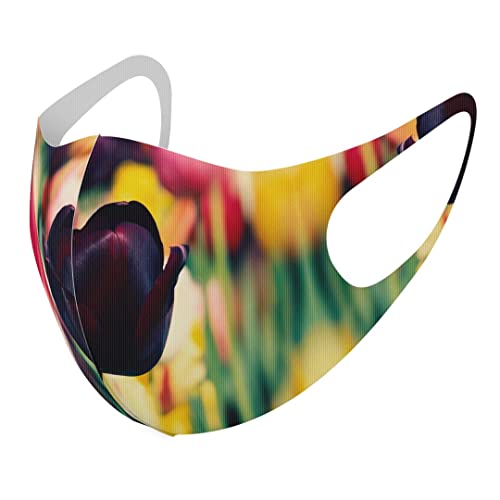 [igsticker] fUC }XN QZbg |GXe 􂦂 z}XN XLTCY 傫 jp 023913  t[ `[bv