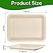 EcoAvance Large Paper Plates 14 Inch, 100 Pack Disposable Trays, Heavy Duty Dinner Size, Eco-Friendly Compostable Biodegradable, Strong Sturdy Brown