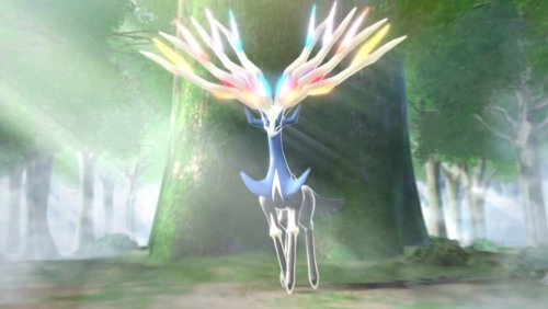 Pokemon X 3ds - vue 7