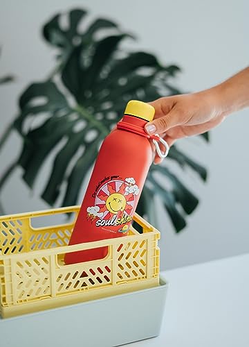 Grupo Erik Metal Water Bottle 500ml / 17oz - Smiley, 500 ml - Image 2