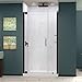 DreamLine SHDR-4154720 Elegance 54 1/2 to 56 1/2 Inch Frameless Shower Door