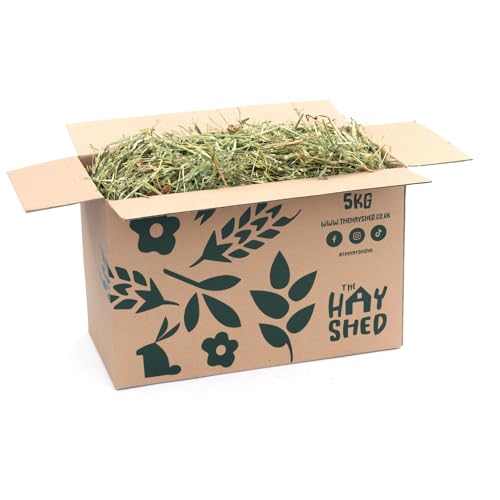 The Hay Shed Premium Oat Hay for Small Pets – Long Stem Feeding Grass Barn Dried, Dust Free, High Fibre, Natural Green Stem Oat Hay for Rabbits, Guinea Pigs, Hamsters, Chinchillas - 1kg