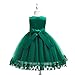 Weileenice Emerald Green Flower Girls Dress Little Girl Ball Gown Lace Evening Pageant Party Dresses A-line Wedding Fancy Princess Bridesmaid Kids Photo Shoot Birthday Holiday Christmas Gown 2-3 Dance