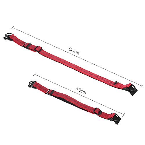 Festnight Strong Durable Dog Collar Dual D-ring Nylon Comprimento ajustável Tiras reflexivas Confort