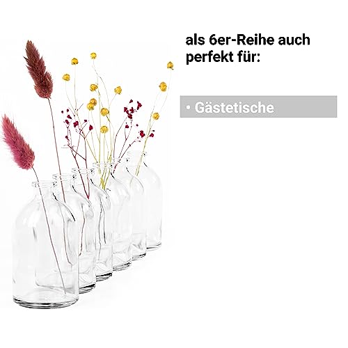 Giessle Hochzeit Saal-/ Raum- Deko Paket [ mit 88 STÜCK Mini Vasen ] Väschen kleine Dekoflaschen Blumenvase Transparent