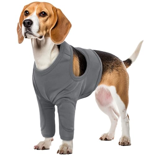 Schutz für Hunde, Knieschoner und Ellbogenbandage nach chirurgischem Gebrauch und für Beinverletzungen (Grau, XL)