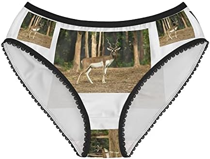 Male Blackbuck Panties, Male Blackbuck Underwear, Briefs, Cotton Briefs, Funny Underwear, Panties For Women