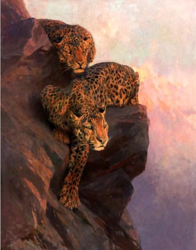 Pintura por números kit de óleo DIY leopardo al acecho lienzo para principiantes