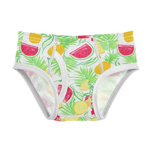 Tropical Pineapple Watermelons Toddler Boy's Underwear 2T 202c1857