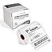 DYMO-Compatible 1744907 Shipping and Postage Labels for 4XL (4" x 6") -- BPA Free! (6 Rolls; 220 Labels per Roll)