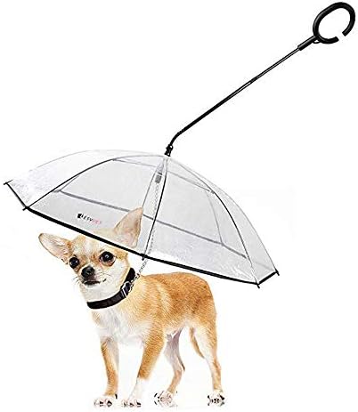 dog parasol
