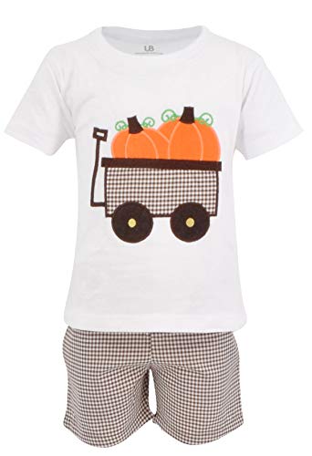 Image of Unique Baby Boys 2pc Shorts Set Outfit Short Sleeve Shirt with Embroidery Design and Shorts