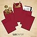LUXPaper Coin Envelopes, Garnet, 2 1/4-Inch x 3 1/2-Inch, 50-Count