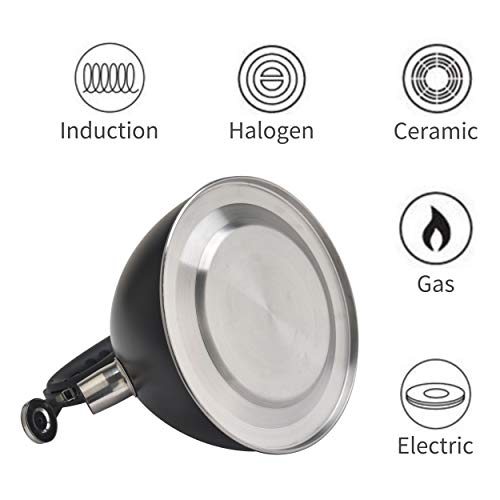 ARC, 346, 3.2 Quart / 3L Tea Kettle Food Grade with Heat Resistance Handle, Stainless Steel Teapot for Stovetop, Anti-Rust and Loud Whistling (3L - Black durable color 3)