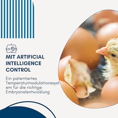 Foto von Borotto Real 49 Plus | Brutautomat Vollautomatisch Professionelle für 49 oder 196 Kleine Eier, Automatischem Eierwendemechanismus Temperaturregelung Biomaster Antibakterielles | Hergestellt in Italien