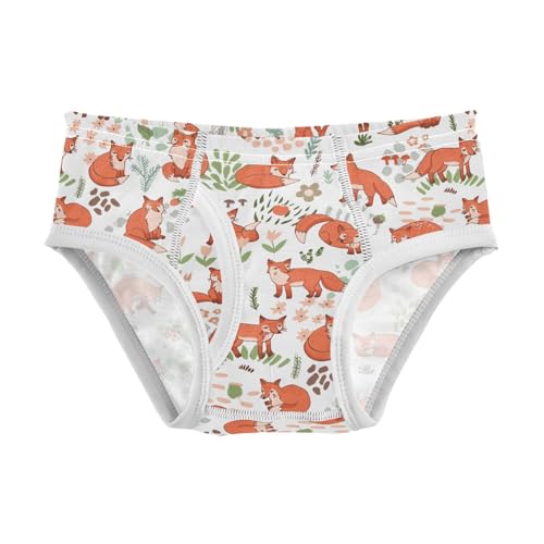 visesunny Boys Cotton Underwear Cute Forest Fox Flower Printed Toddler Soft Training Briefs Size 2T-8Y for Kids