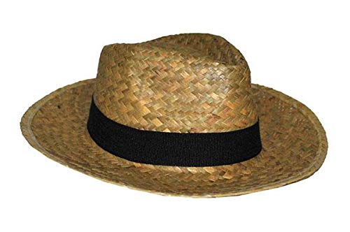 LP Divertissements Lot de 12 - Chapeau Style Panama en Paille avec Bandeau Nature