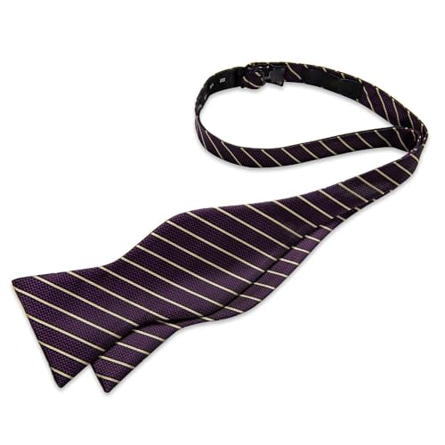 Pajarita clásica a rayas para hombre con set de pañuelo y gemelos miniatura 5