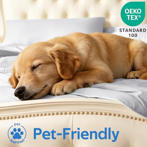 Image of Ice Fabric Cooling Pillowcases 2 Pack, Q-Max>0.5 Coolmax Pillow Cases with Envelope Closure, Silky Soft and Breathable Pillow Covers for Hot Sleepers, Fits King Size Pillows (20x36 Inches), Grey