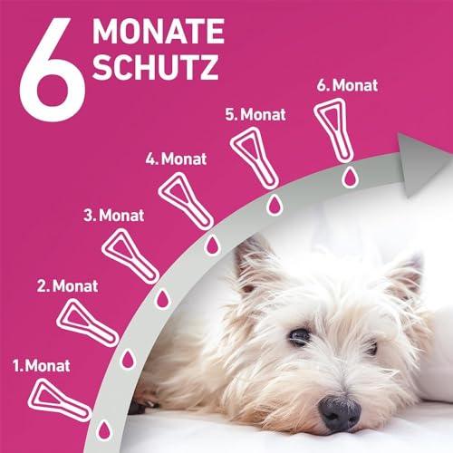 FRONTLINE TRI-ACT Hund L gegen Zecken, Flöhe & Mücken (große Hunde 20 bis 40 kg) - 6X Pipetten für bis zu 6 Monate Schutz - wasserfest - perfekt auf Reisen