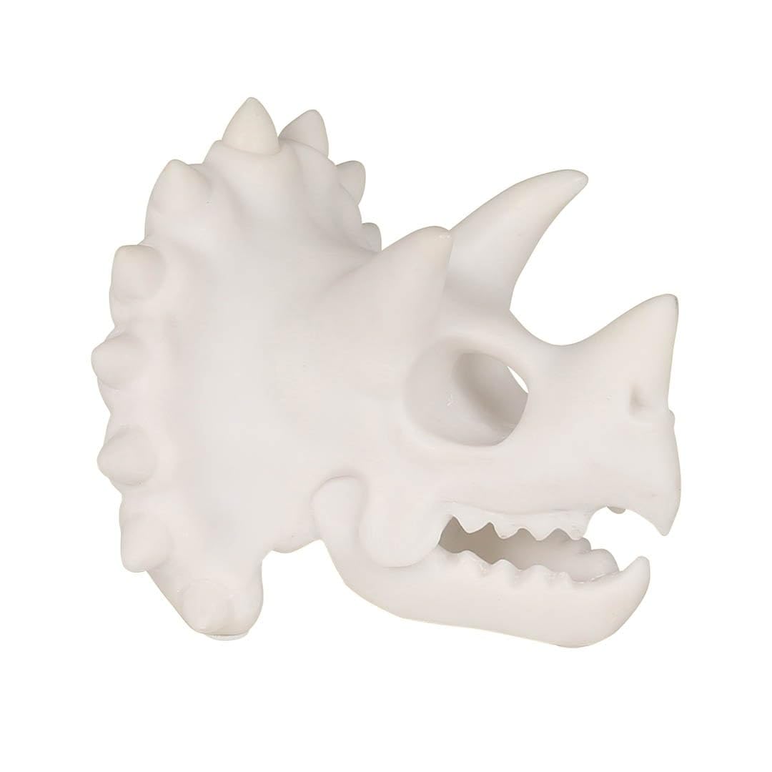 Amazon.co.jp: ダルトン スケルトン ヘッド ペンスタンド メガネ