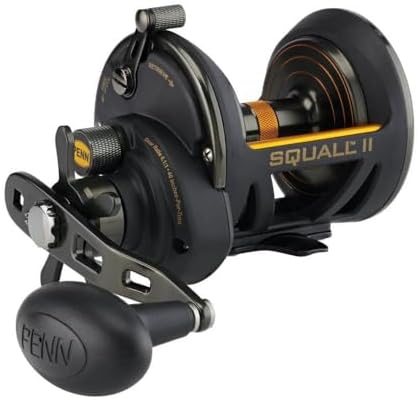 PENN Fishing Squall II Star Drag Conventional Fishing Reel, Black Gold