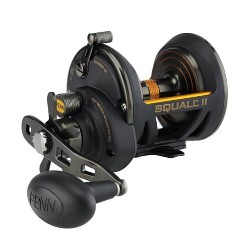 Penn Fathom II Star Drag Reel, Size 15 Fishing Reel, Right Handle Position, Black Gold