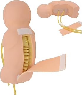 1:1 Life Size Newborn Baby Lumbar Puncture Model, Lumbale Punctie Training Simulator for Doctors Nurses Students Practice Teaching Model