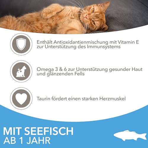 IAMS Katzenfutter trocken mit Fisch - Trockenfutter für Katzen im Alter von 1-6 Jahren, 3 kg