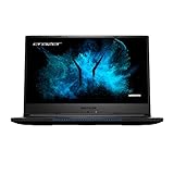 MEDION ERAZER Guardian X10 39,6 cm (15,6 Zoll) FHD Gaming Notebook mit 144hz (Intel Core i7-10750H, 32GB DDR4 RAM, 1TB PCIe SSD, NVIDIA GeForce RTX 2070 SUPER, Win 10 Home)