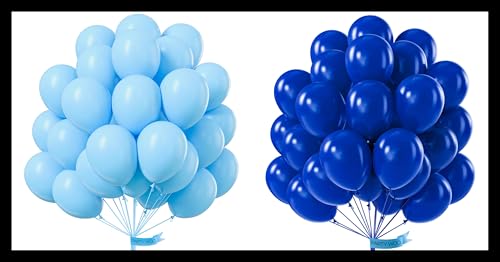 PartyWoo Light Blue and Royal Blue Balloons 100 pcs 12 Inch Sky Blue Balloons for Graduation Birthday 4th of July Independence Day Baby Shower Party Decorations Blue-Y4 and Blue-Y59