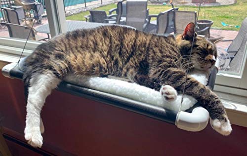 Kitty-Cot-Original-Worlds-Best-Cat-Perch