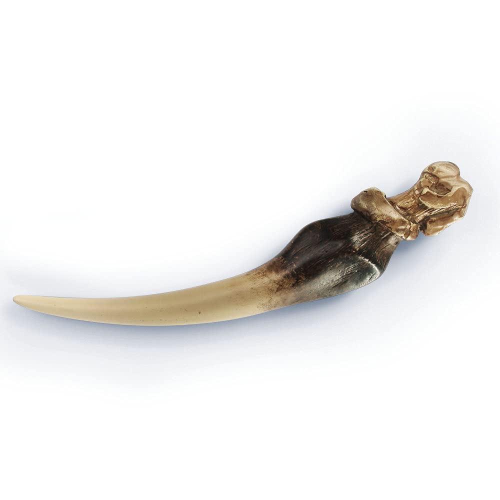 The Noble Collection Basilisk Fang and Tom Riddle Diary Sculpture Figura, Nero, NN7271