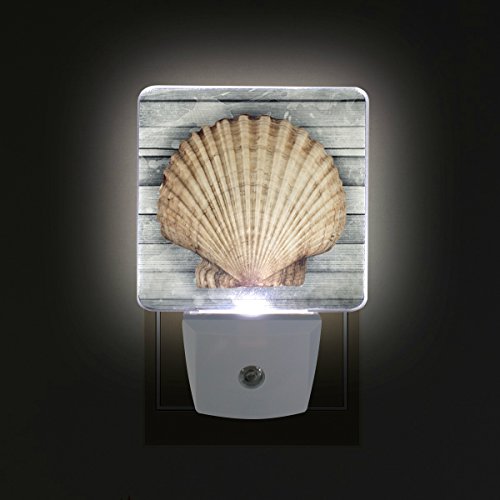 Naanle Set Of 2 Marine Sea Life Scallop Shell On Old Vintage Wooden Nautical Theme Seashell Auto Sensor Led Dusk To Dawn Night Light Plug In Indoor For Adults #TOP2