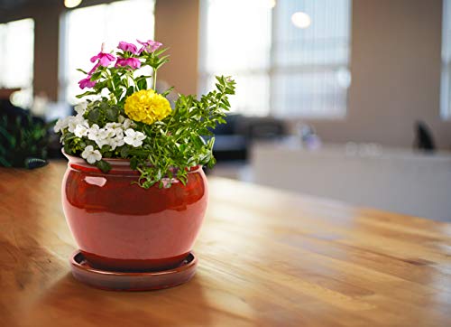 Southern Patio 12" Wisteria Planter, Oxblood Red #TOP5