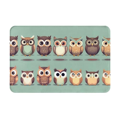 Evengigy Paillasson antidérapant pour intérieur et extérieur Motif chouettes 40 x 60 cm
