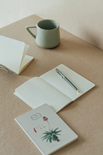 Kokonote: Set 3 Quaderni A6 Botanical Cacti | Pack...