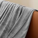Aisbo Kuscheldecke Flauschig Decke Grau - Fleecedecke Warme Sofa Decke für Winter, Kuschlige Wohndecke Hellgrau Kinder Weich als Wohnzimmer, Blanket 130x150 cm Klein Couchdecke