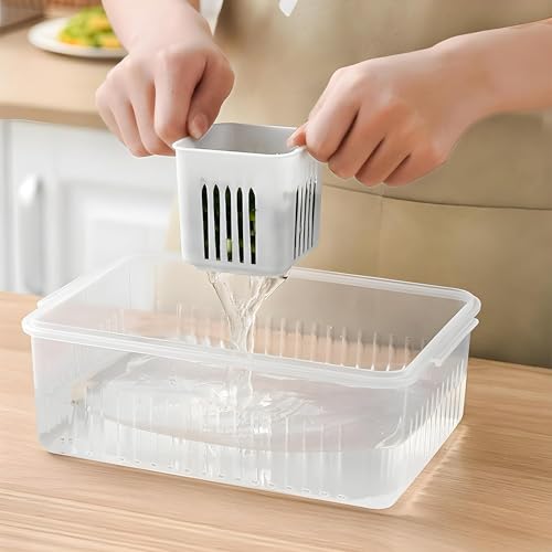 Image of TASMAX Fridge Storage Boxes, Plastic Fridge Containers, Fridge Accessories Items, (FRIDGE CONTAINER LARGE BOX-9 GRID)