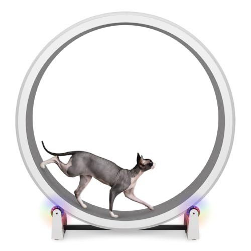 Image of One Fast Cat - Cat Exercise Wheel - Gen. 7 - Safe 48 inch Diameter - Made in The USA - White Wheel with Gray Felt Traction Pads and Light-Up LED Inline Wheels